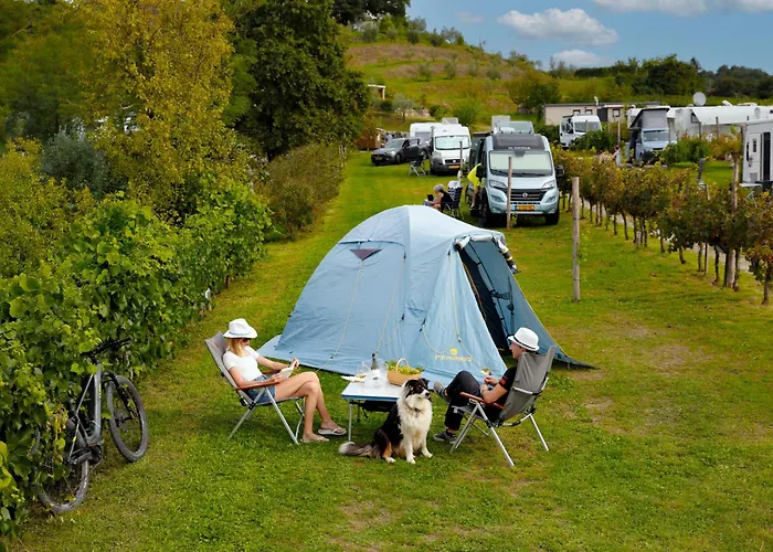 Saxida Wine & Camping Resort - Campsite