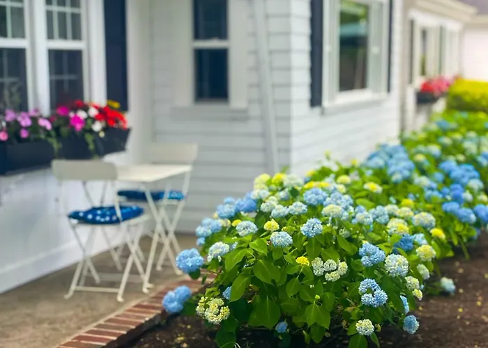 Cape Cod Motor Inn