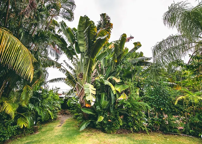 Kariwak Wellness Village, Hotel And Holistic Haven