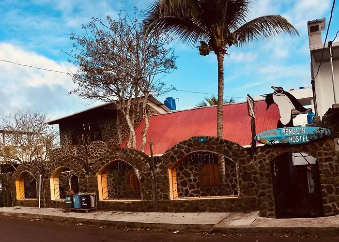 Penguin Hostel