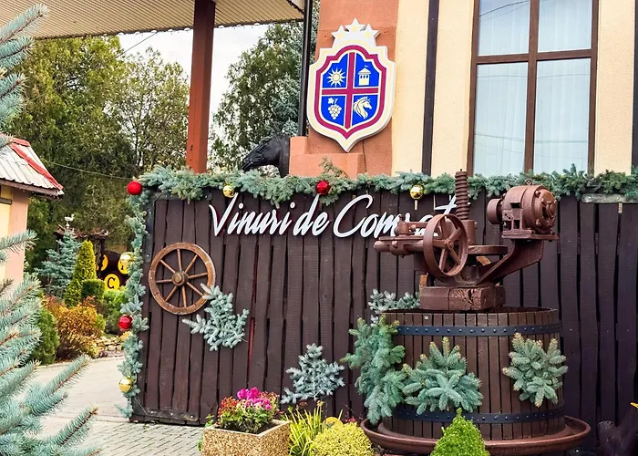 Wine Garden Hotel Comrat