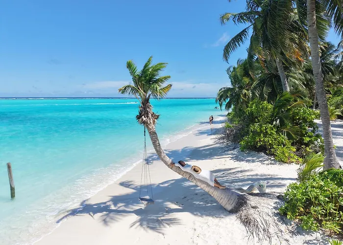 Palma De Maldives