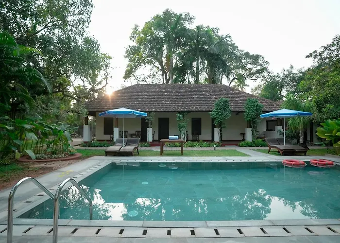Aaria Beach Resort And Spa