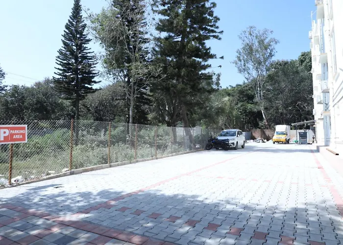 Hill Woods Yelagiri