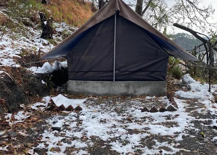 Kasar Jungle Camp