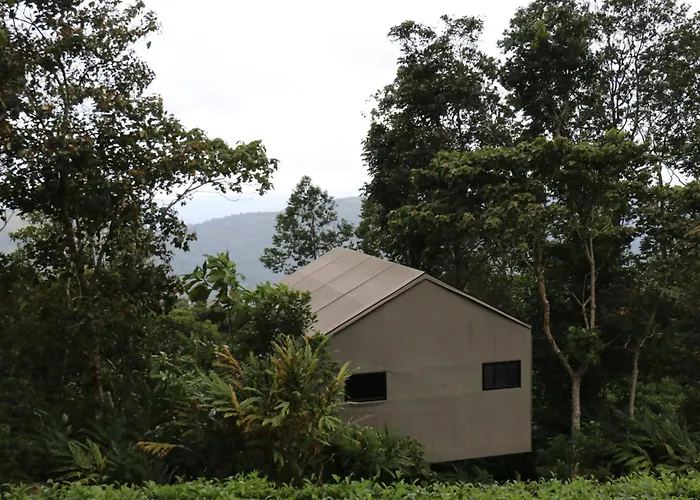 Ethereal Sinharaja Rainforest Luxury Glamping & Adventure Park