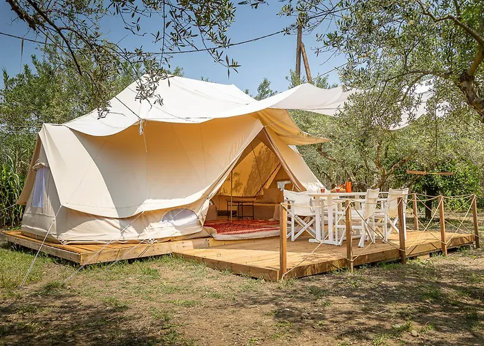 Odyssey Eco Farm Glamping