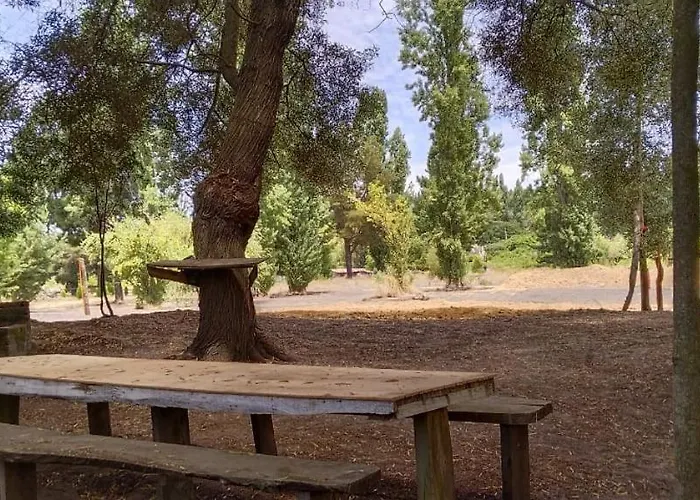 Cabana Con Rio Y Camping