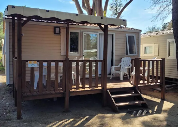 Camping La Palmeraie