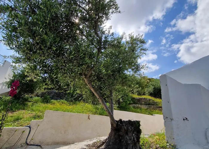 Stefanos Garden3