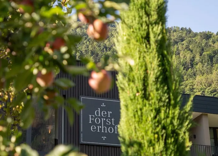 Boutique Hotel Der Forsterhof