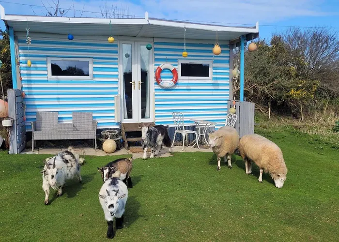 Treguth Glamping Unique Experience - Themed Huts