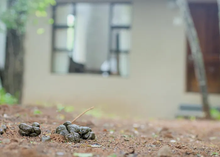 Mazuri Bush Cottages