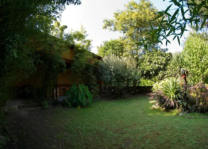 Camping Playa De Vega