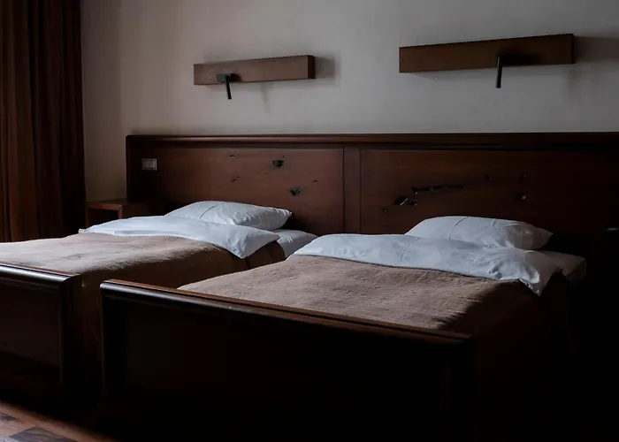 Hotel Stary