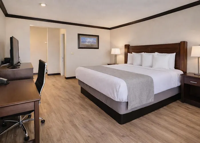 Discovery Inn