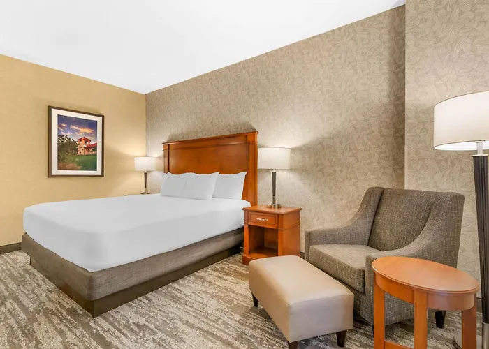Drury Plaza Hotel St Louis Brentwood