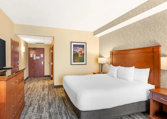 Drury Plaza Hotel St Louis Brentwood