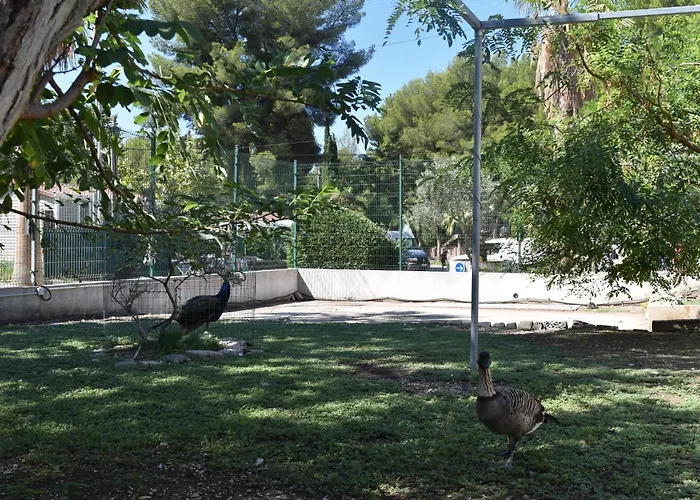 Camping Marina Plage