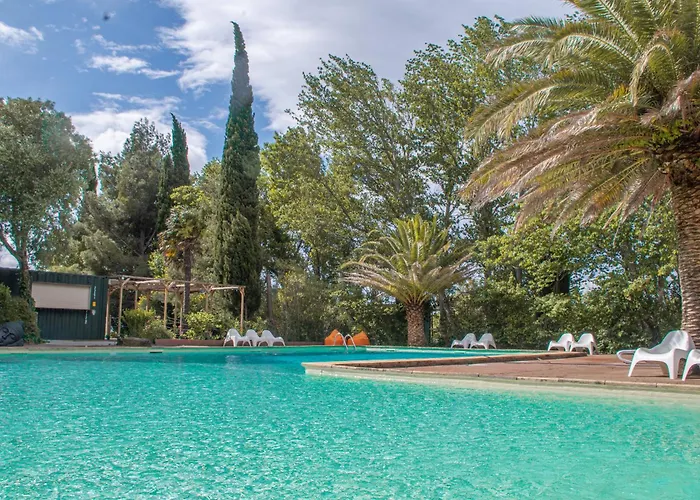 Camping La Peiriere - Chalet & Mobile-Home
