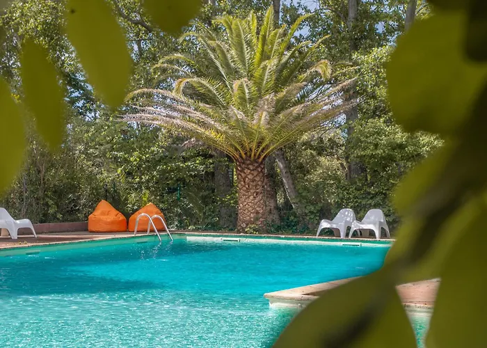 Camping La Peiriere - Chalet & Mobile-Home