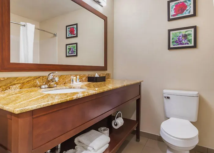 Comfort Inn & Suites Temple - Medical Center