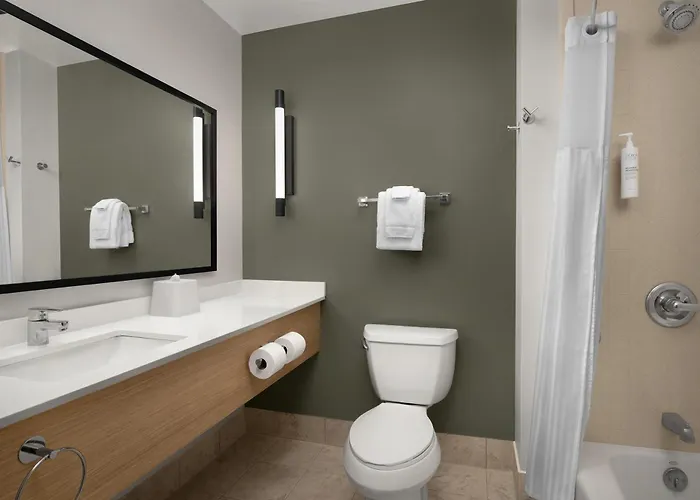 Spark By Hilton Vestal Binghamton University Area