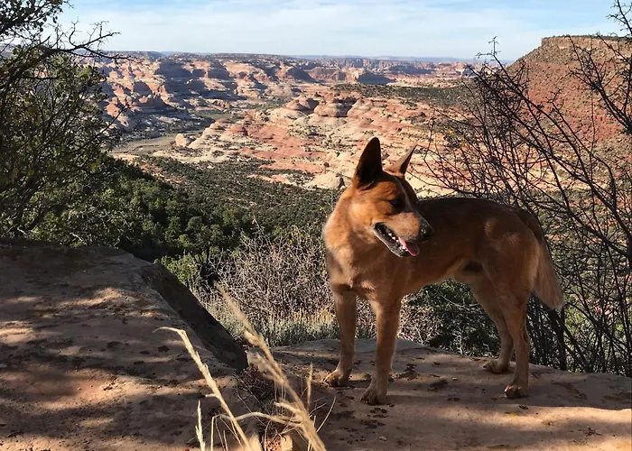 Indian Canyon Ranch