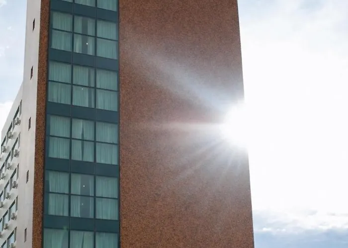 Miami Hotel By H Hoteis - Business