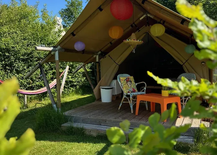 Sfeervol Verblijf Met Alpaca'S