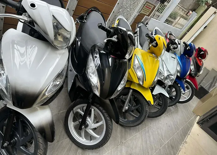 Halidao Homestay