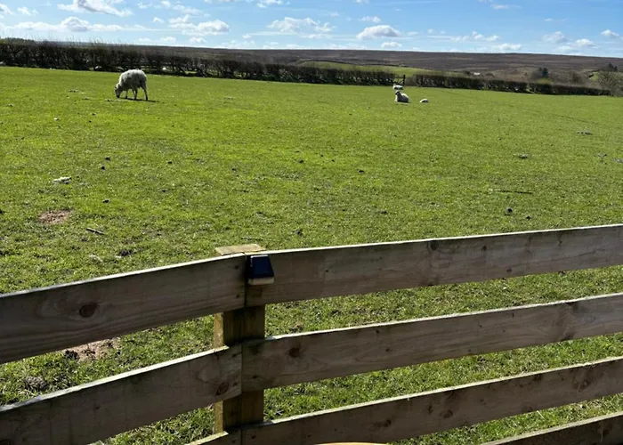 Cow Pasture Pod