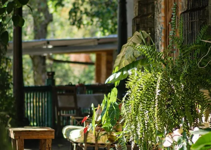 Los Cuatro Olivos Hotel Boutique