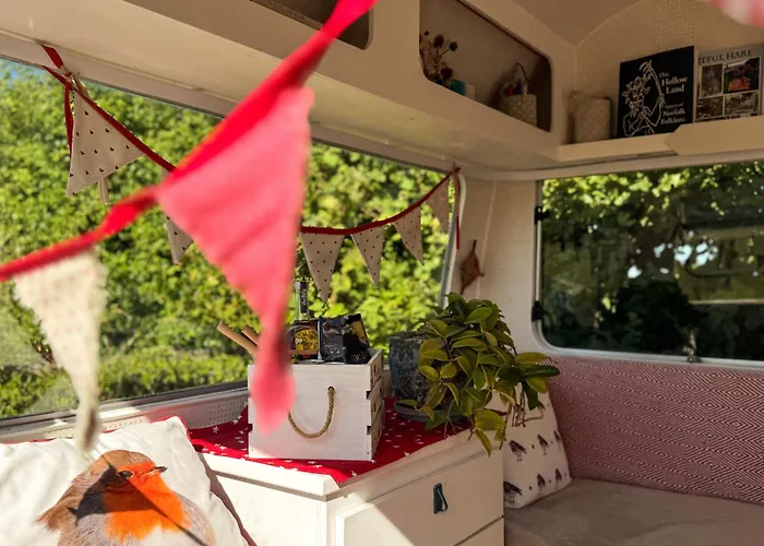 Stargazer Bell Tent