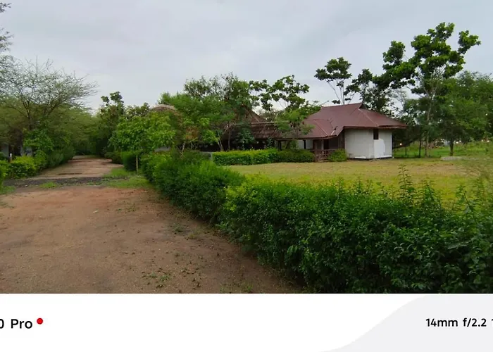 Limas Camp Mikumi