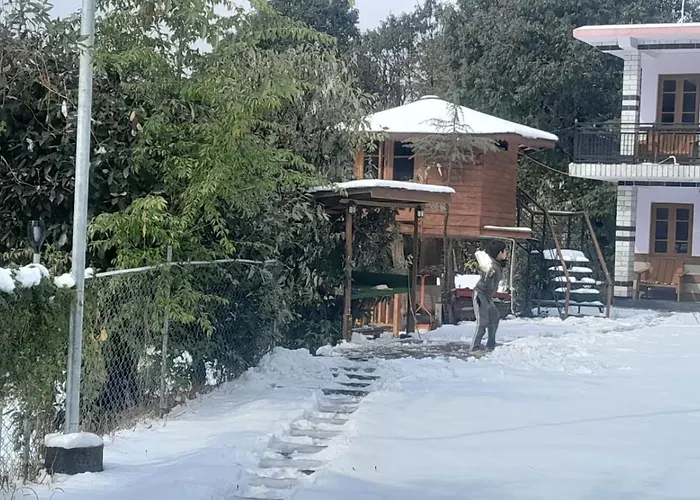 The Wild Planet - Treehouses & Cottages