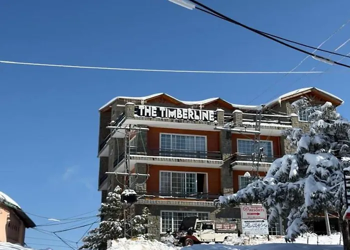 The Timberline Murree