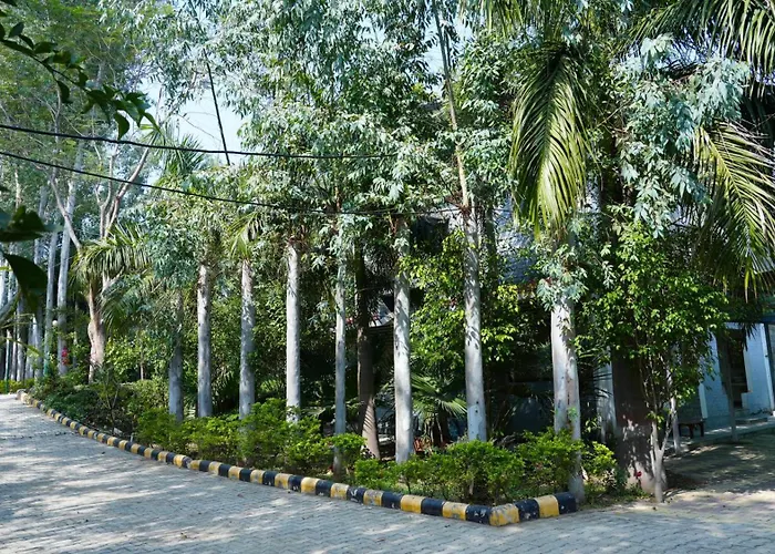 Badrika Farm'S