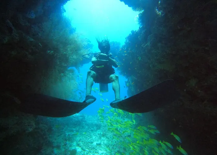 Island Scuba