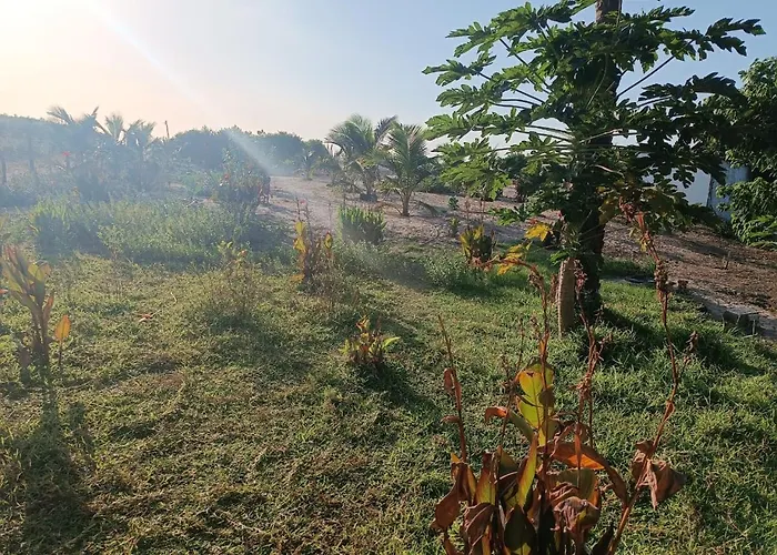 Demba Dou Suites Gardens