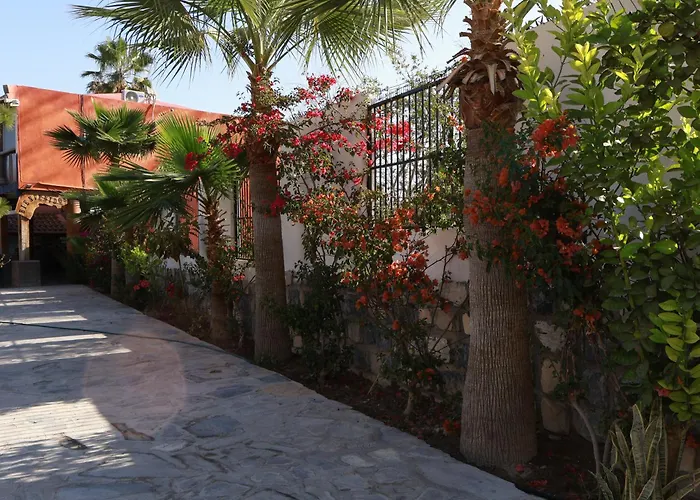 Hotel Casa Patrón Parras
