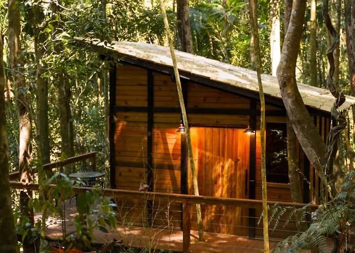 Tree House