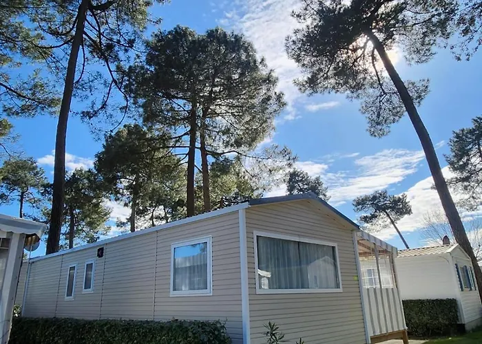 Mobile Home