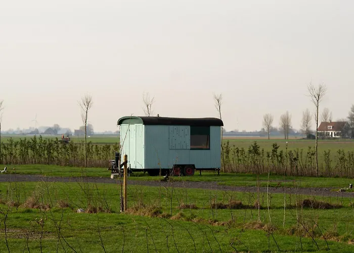 Bloemen Keet Op Een Boeren Camping