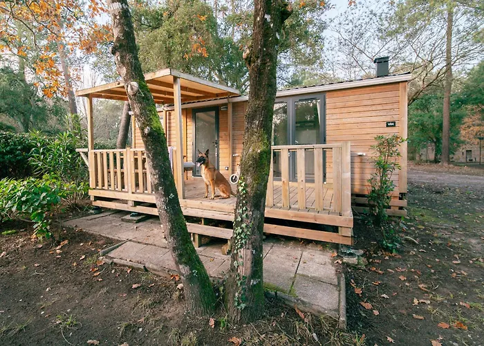 Camping Landae