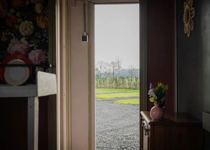 Bloemen Keet Op Een Boeren Camping