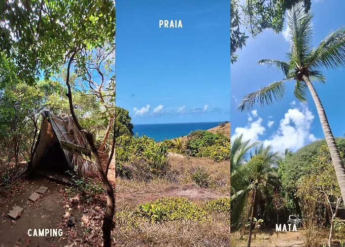 EcoCamping da Wandinha