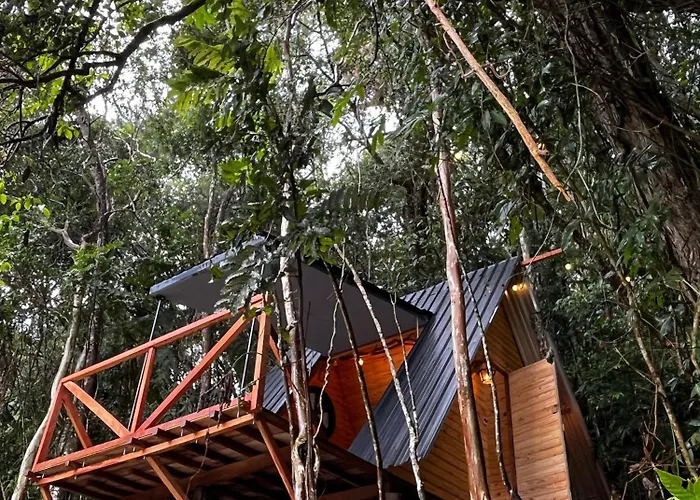 Cabana nas árvores