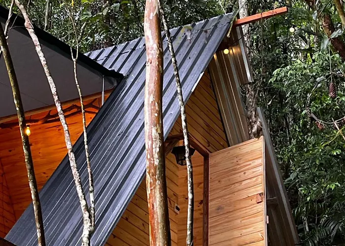 Cabana nas árvores