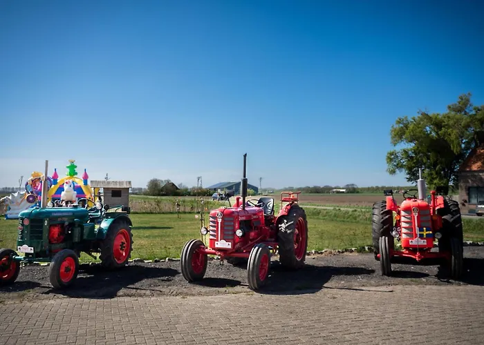 Bloemen Keet Op Een Boeren Camping